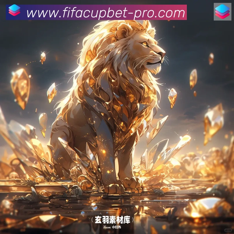 未来规划